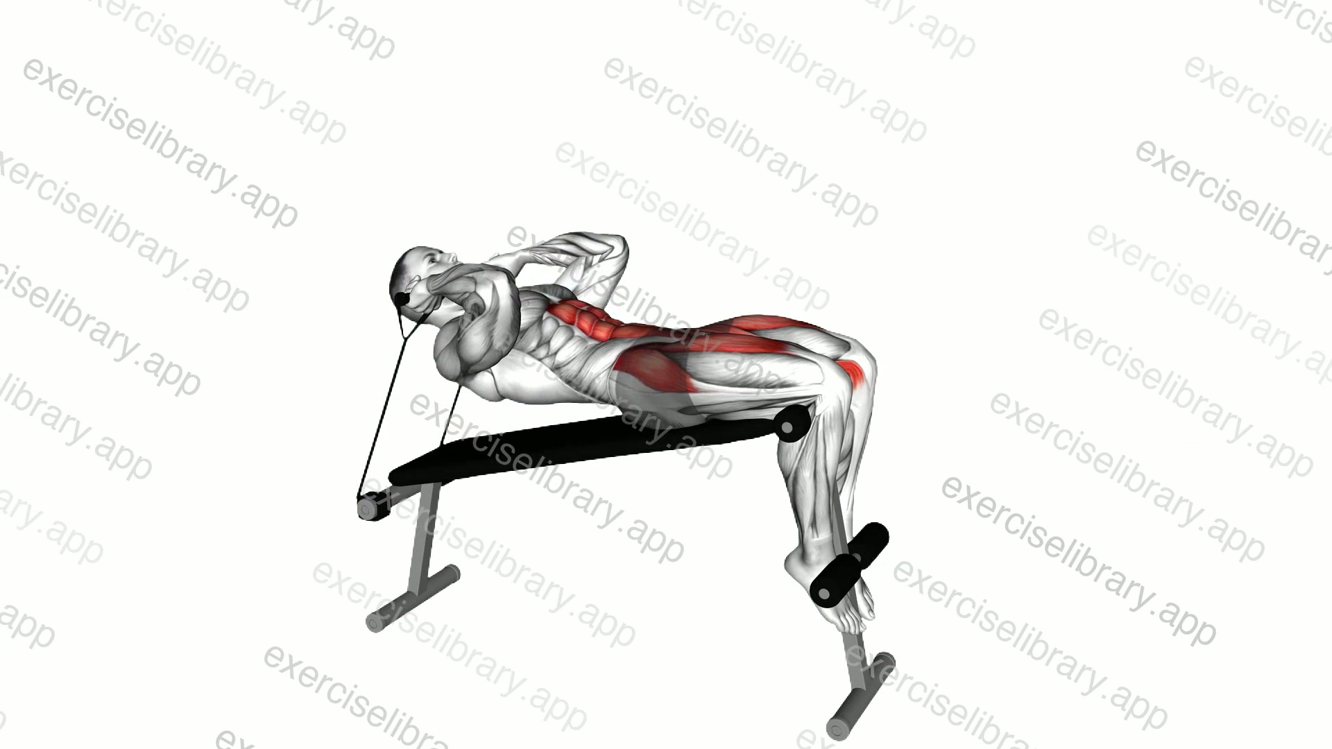 Band Decline Sit-up demonstration