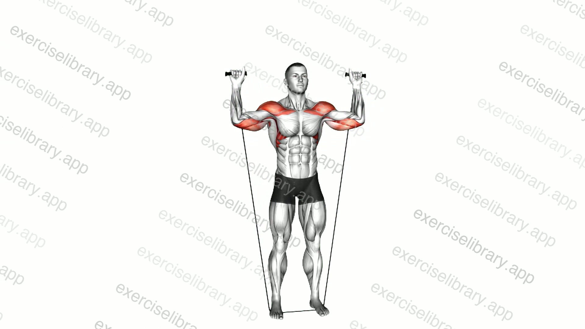 Band Behind Neck Shoulder Press demonstration