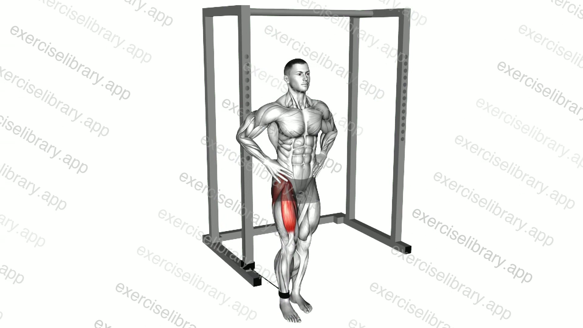 Band Hip Flexion demonstration