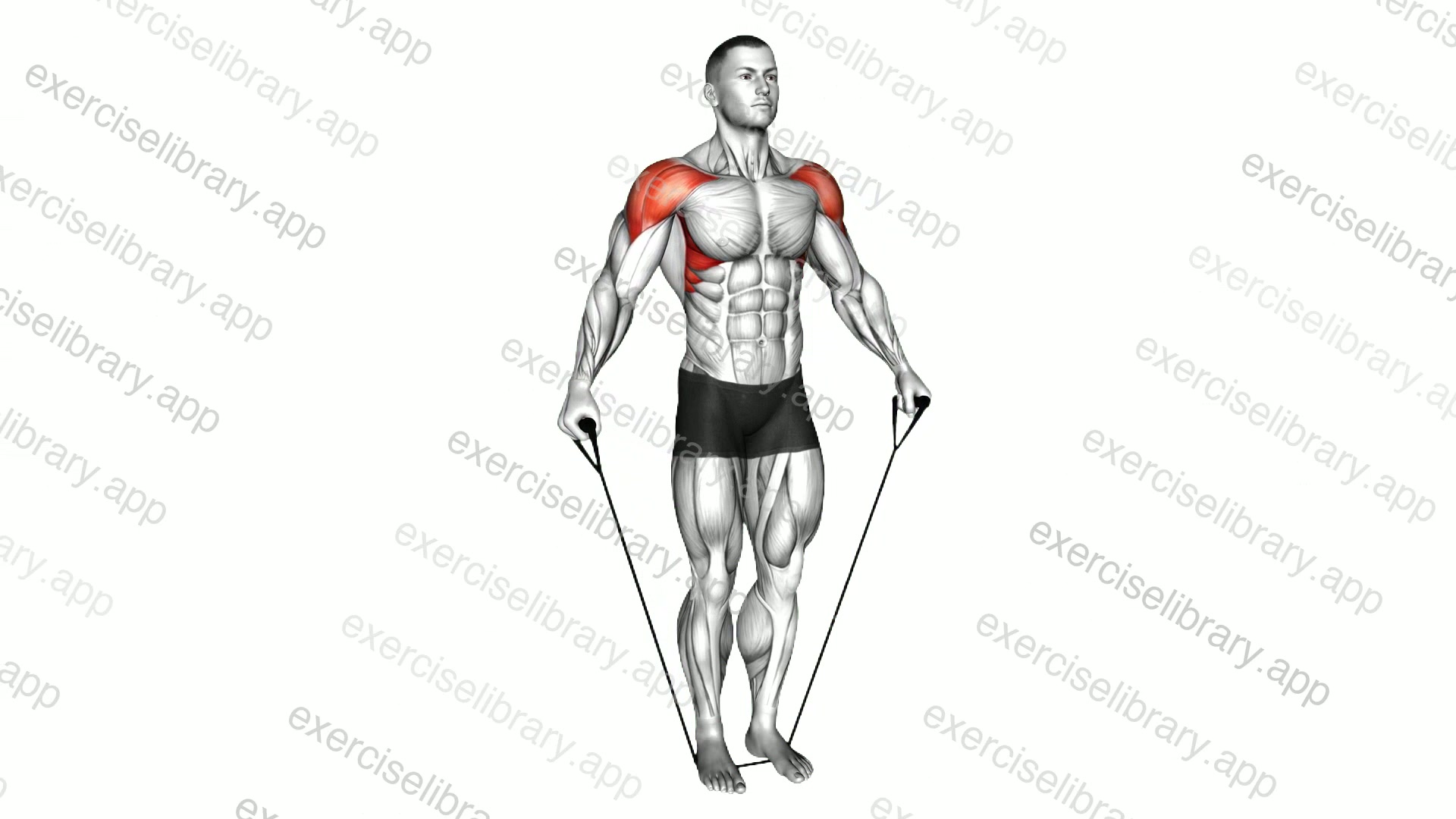 Band Lateral Raise demonstration