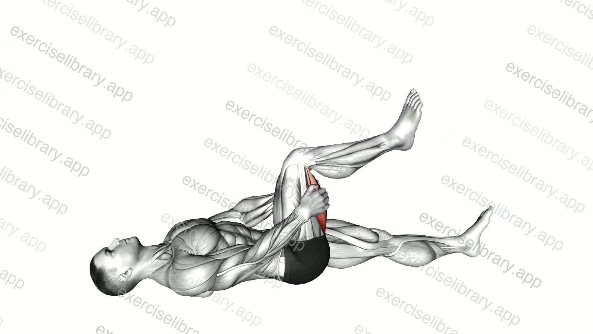 Hamstring Stretch demonstration