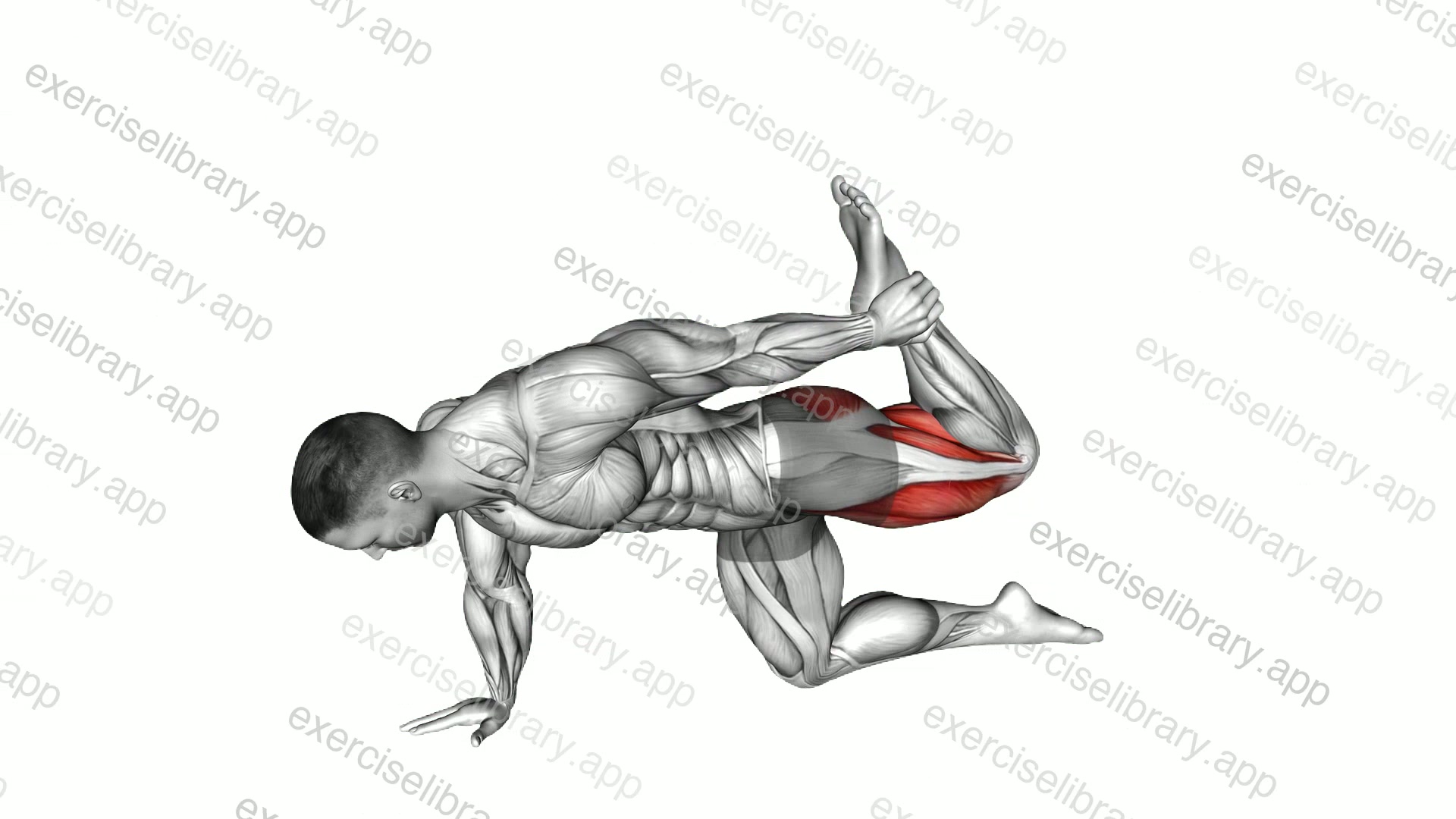 All Fours Squad Stretch demonstration