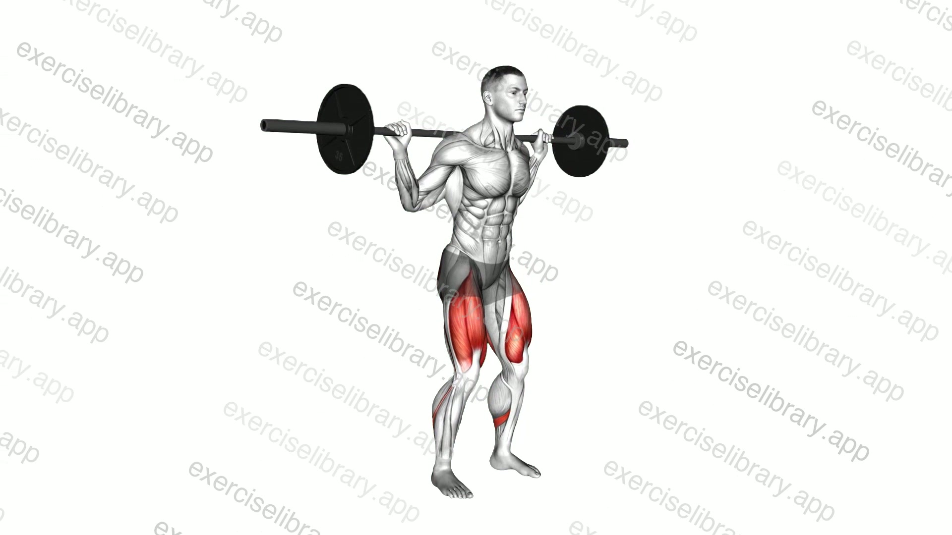 Barbell Quarter Squat demonstration