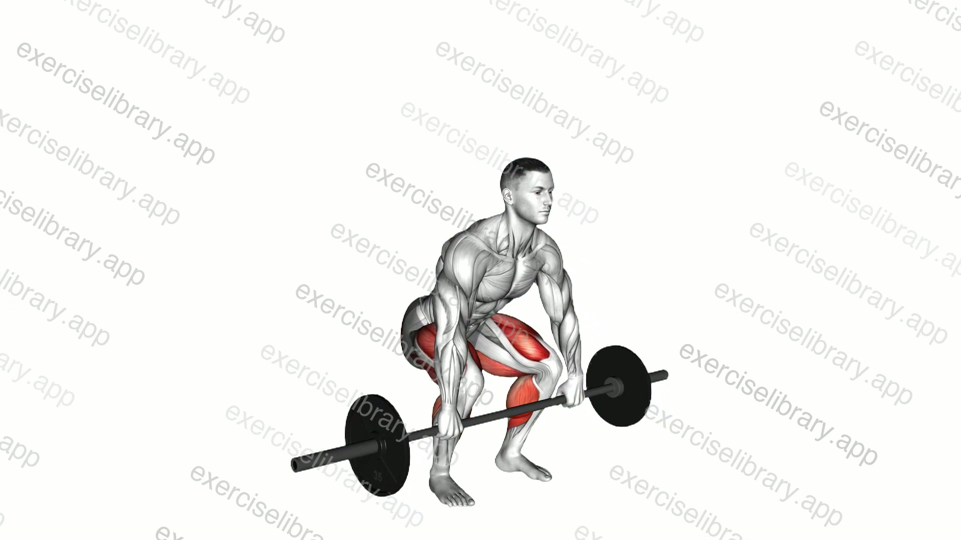 Barbell Clean Deadlift demonstration