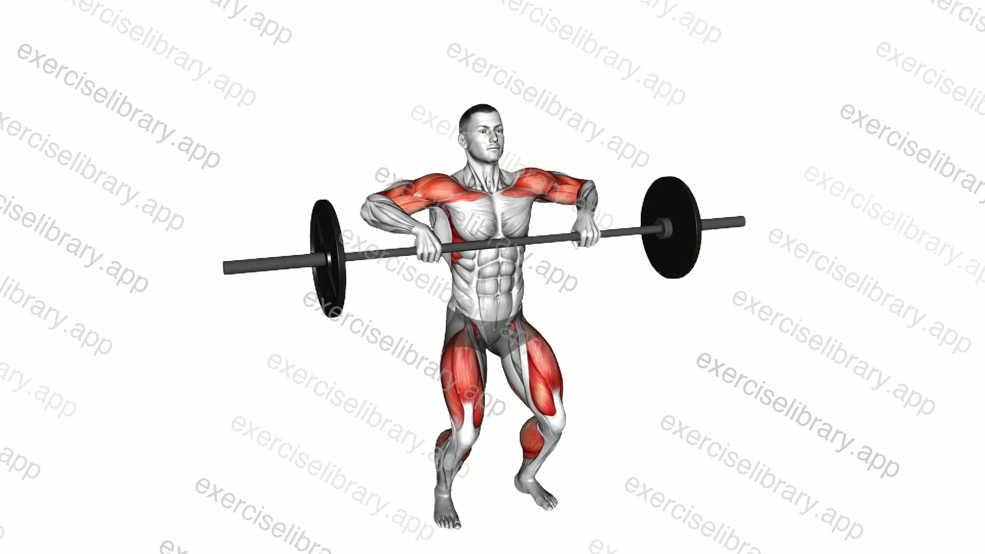 Barbell Hang Clean demonstration