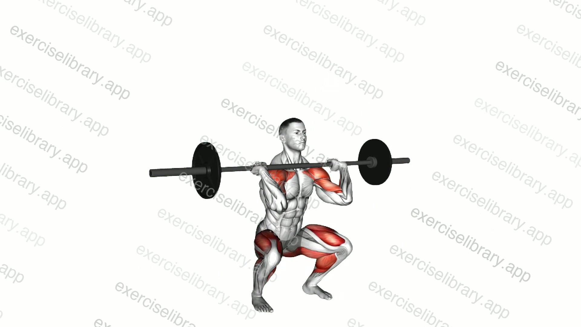 Barbell Hang Clean Below the Knees demonstration