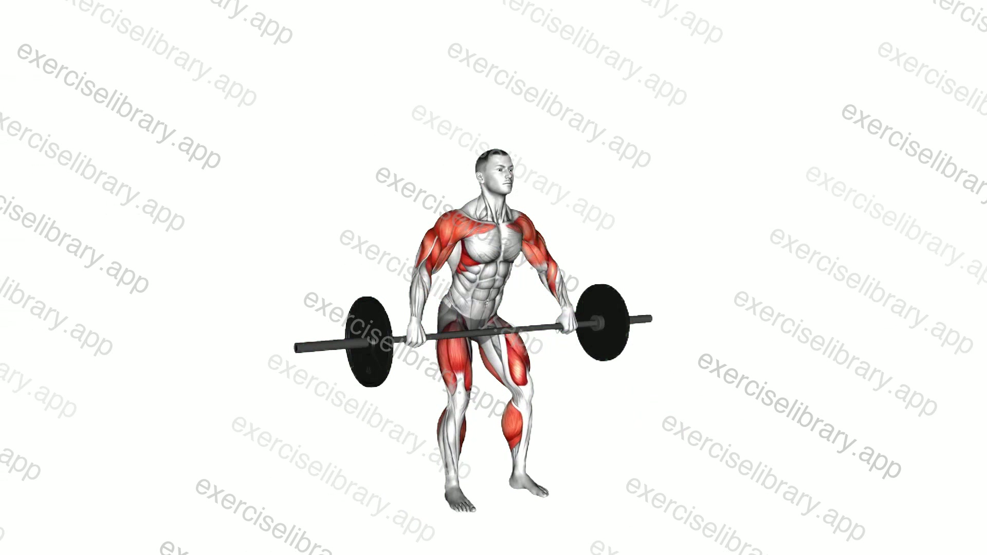Barbell Hang Snatch demonstration