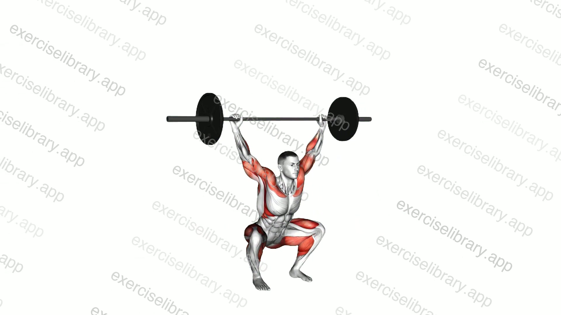 Barbell Hang Snatch Below the Knees demonstration