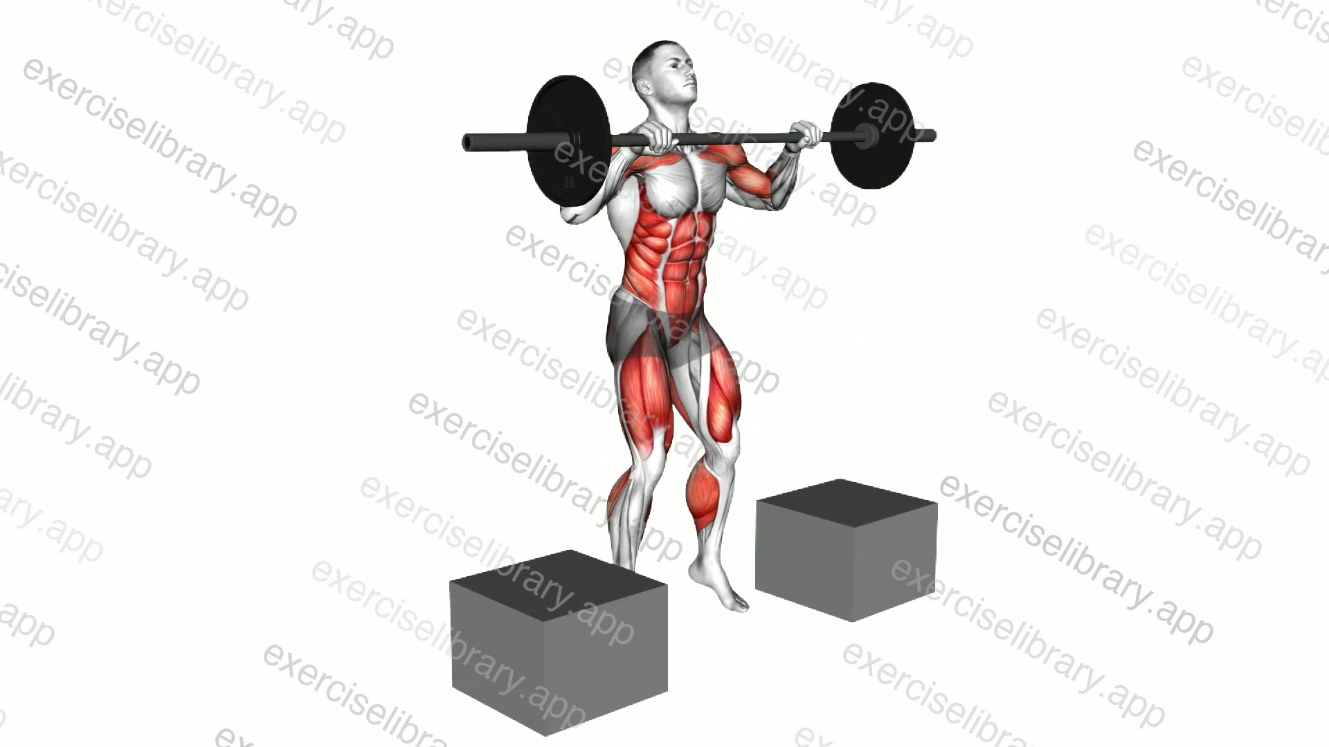 Barbell Power Clean from Blocks demonstration