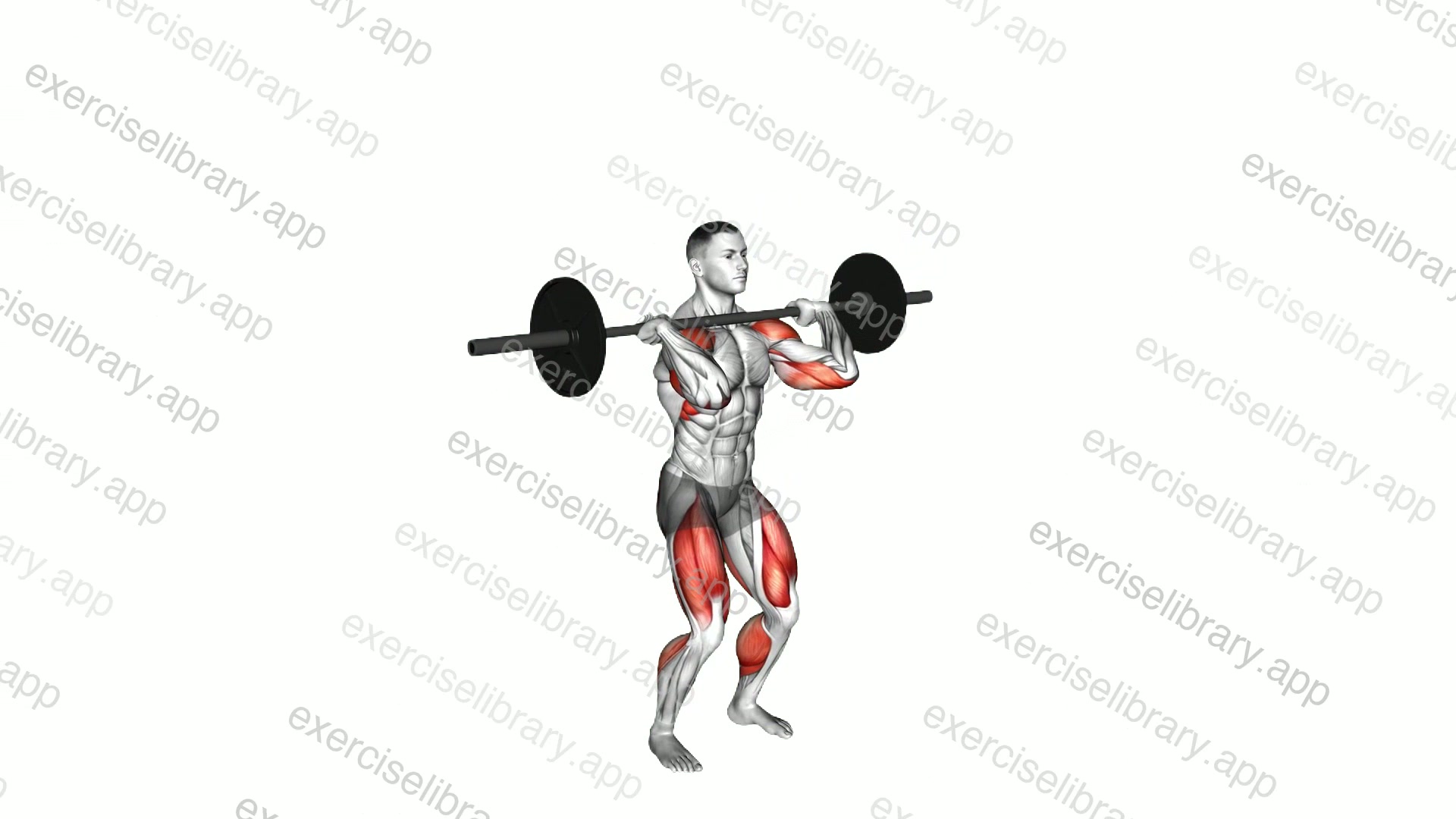 Barbell Power Jerk demonstration