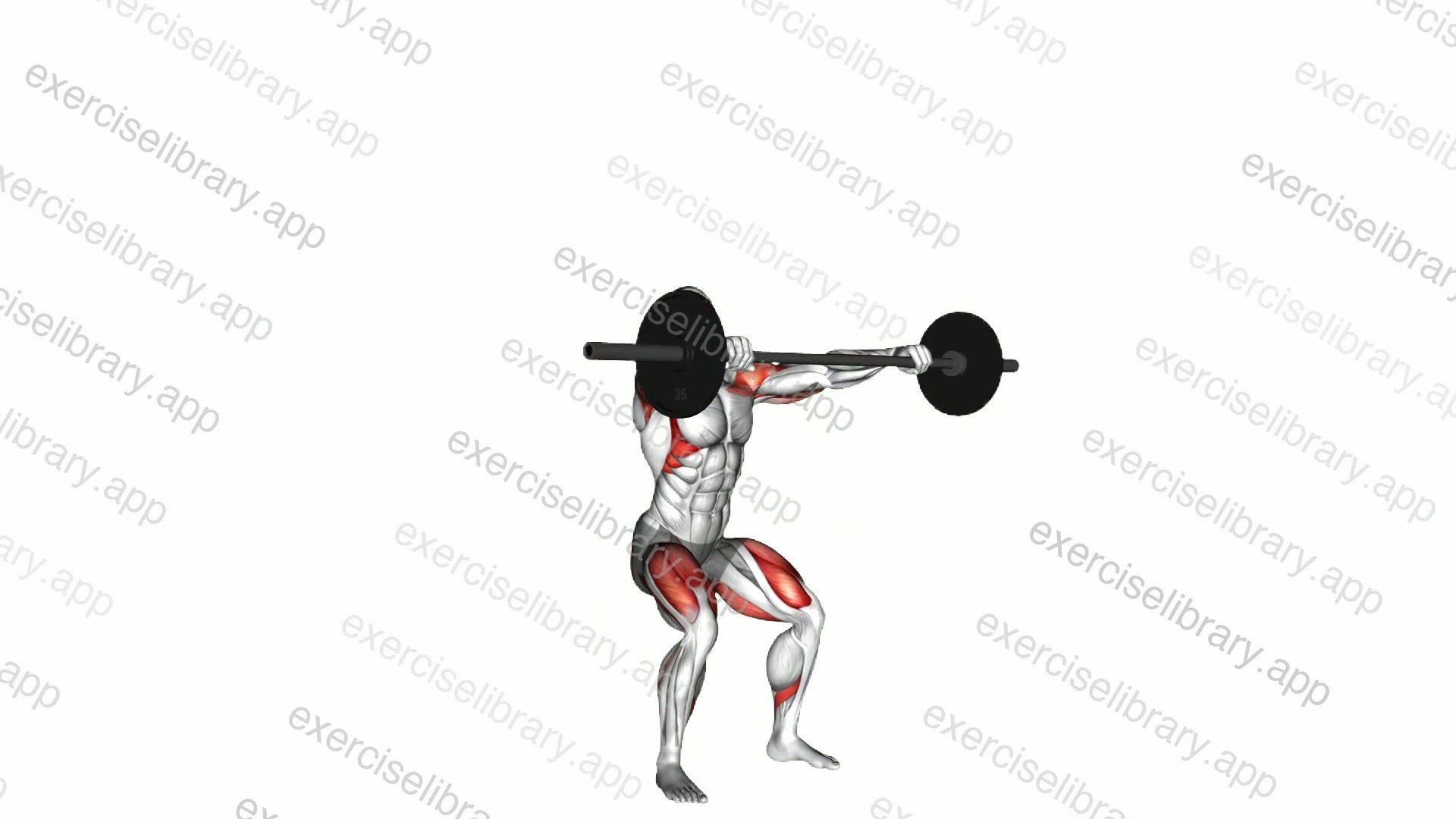 Barbell Power Snatch demonstration