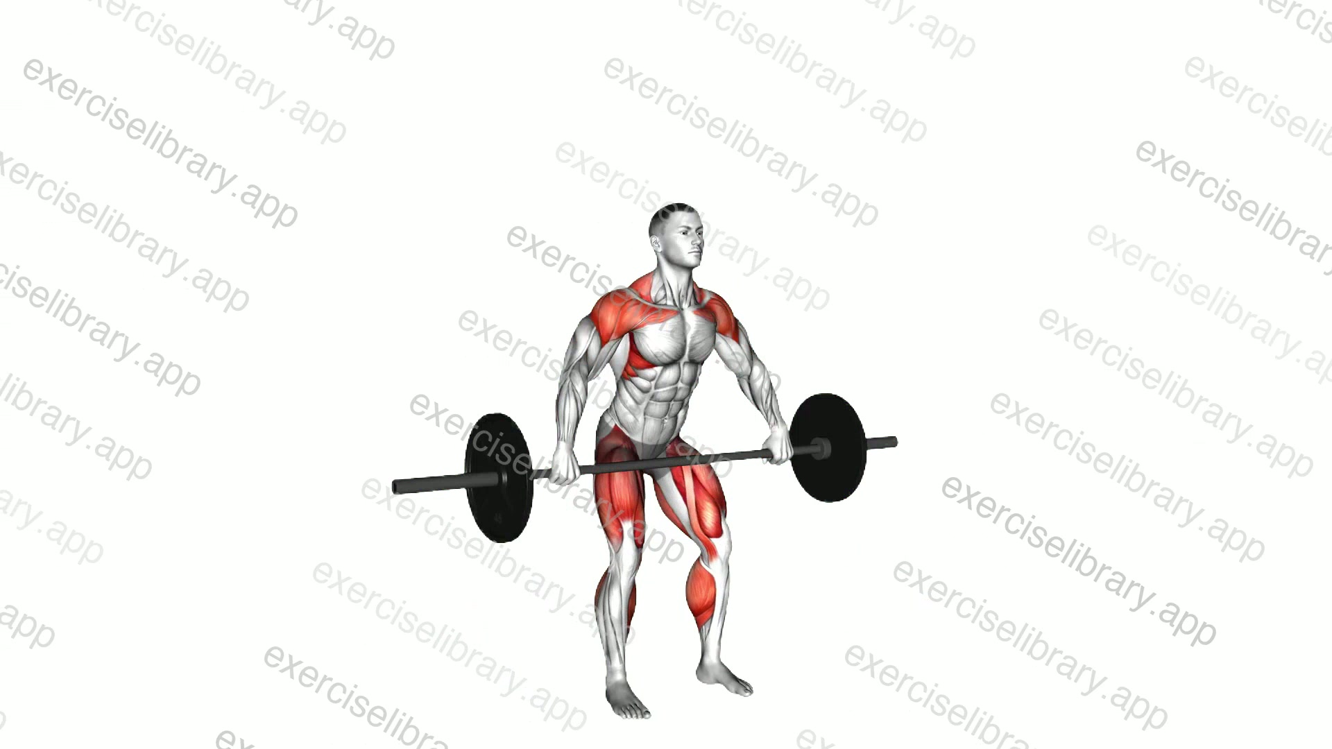 Barbell Snatch demonstration