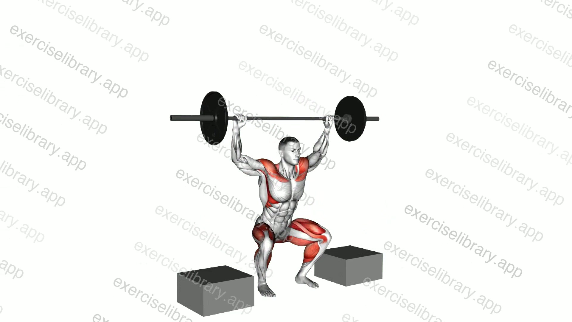 Barbell Snatch from Blocks demonstration