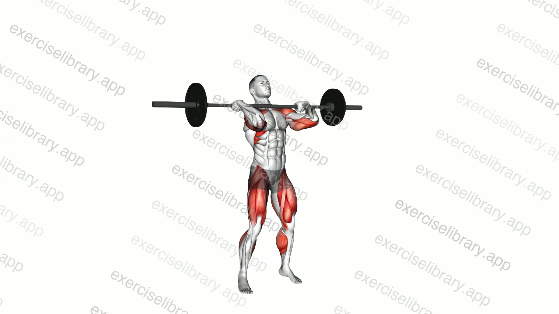 Barbell Split Jerk demonstration