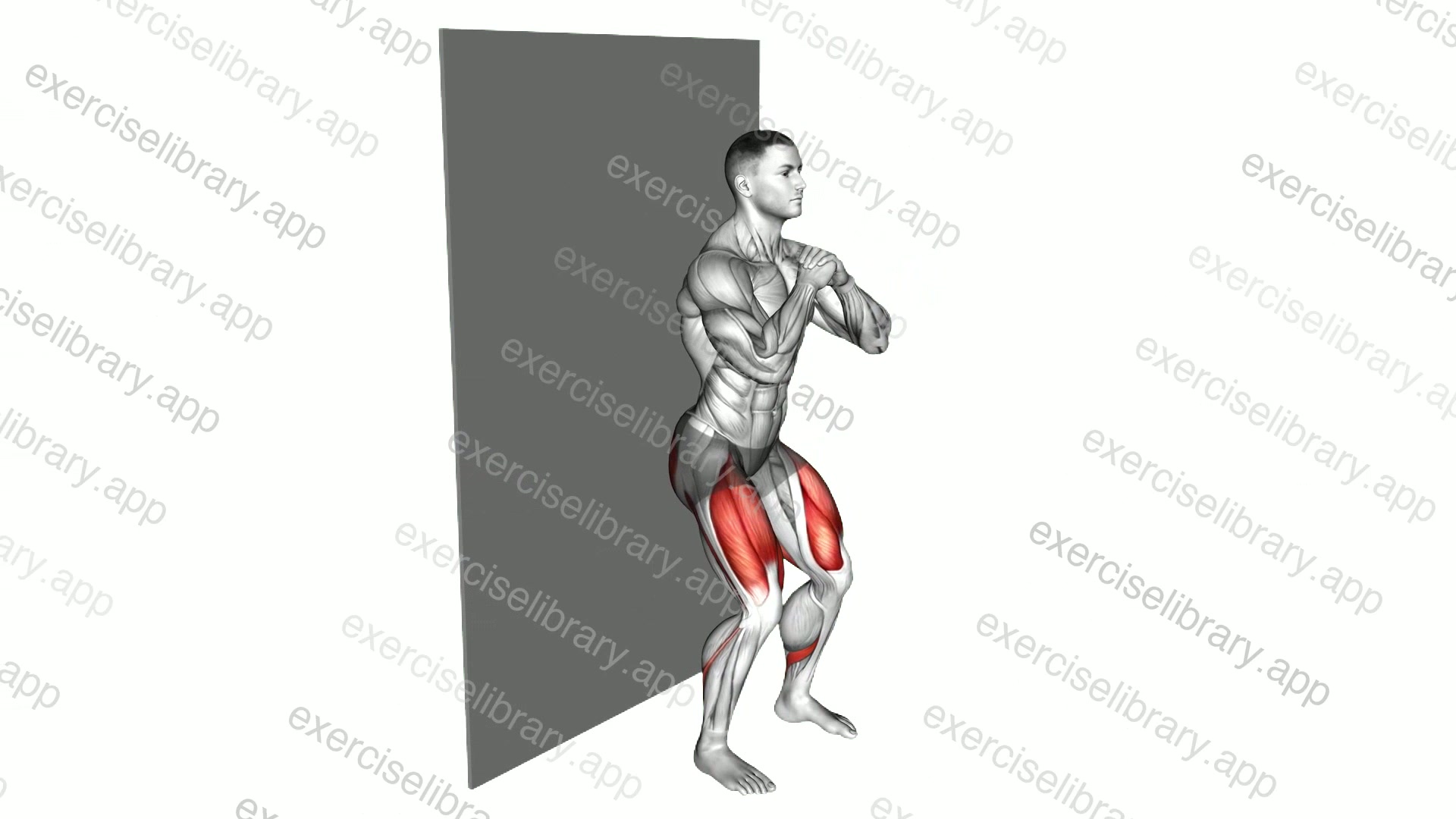 Bodyweight Wall Squat demonstration