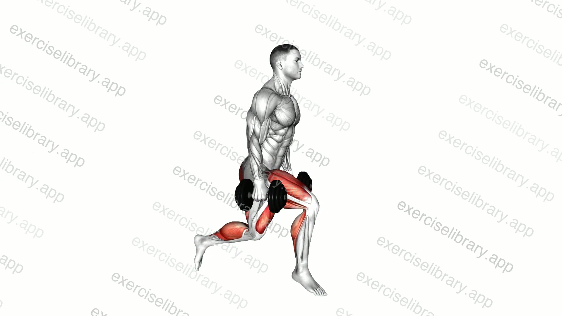 Dumbbell Split Jump demonstration