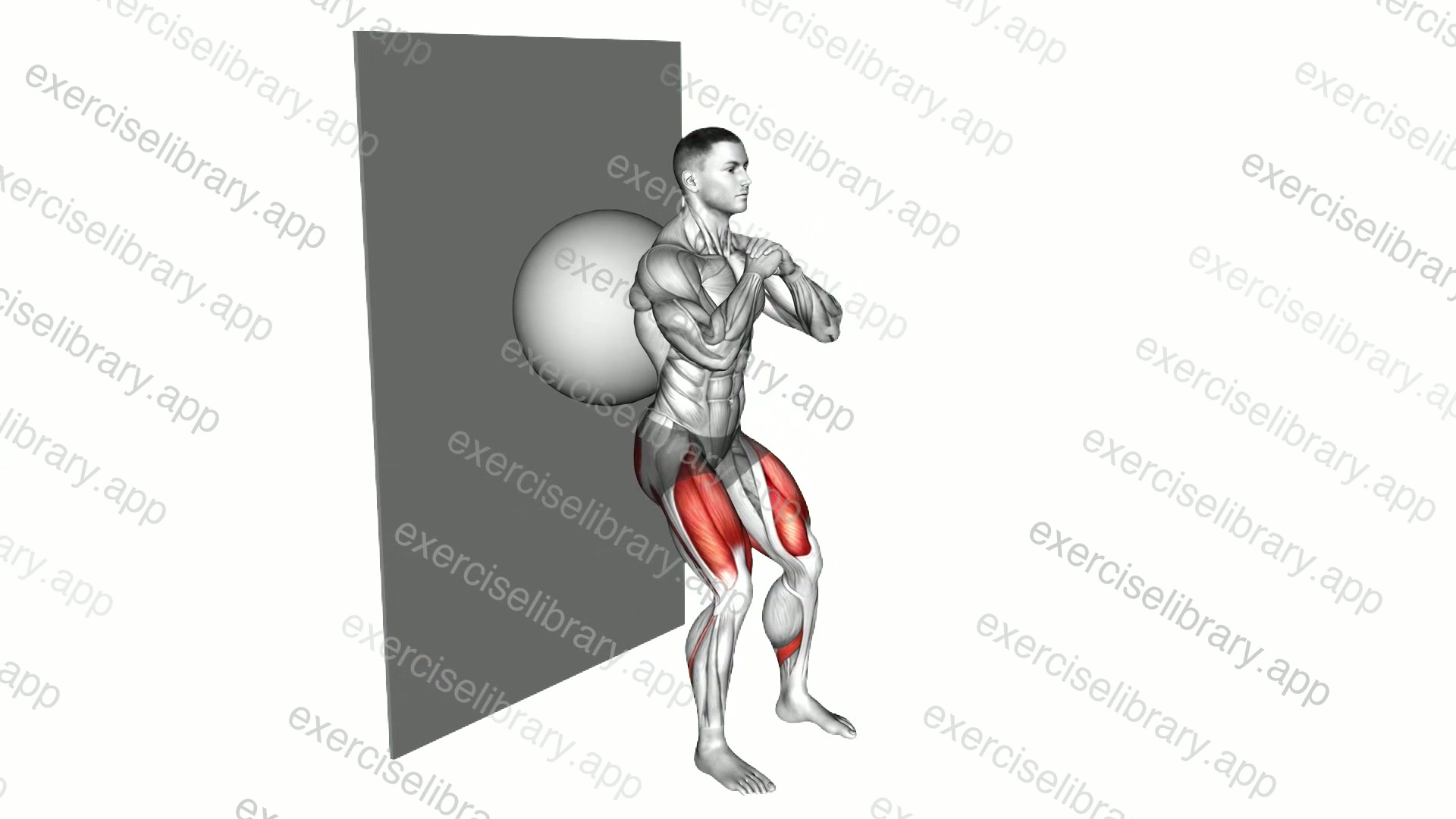 Exercise Ball Wall Squat demonstration