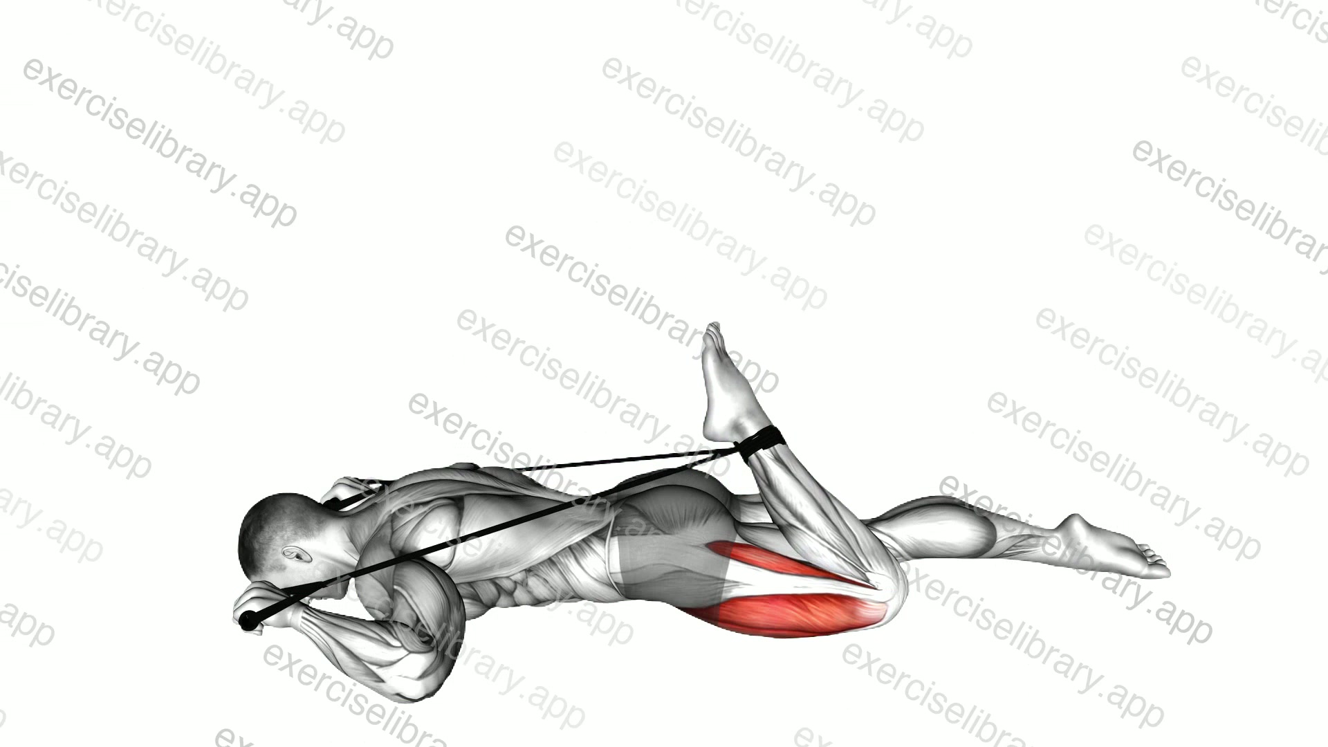 Intermediate Hip Flexor and Quad Stretch demonstration
