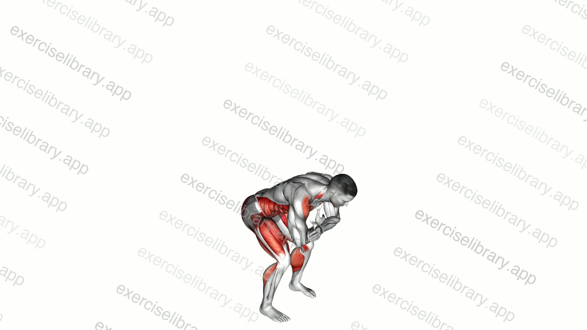 Knee Tuck Jump demonstration