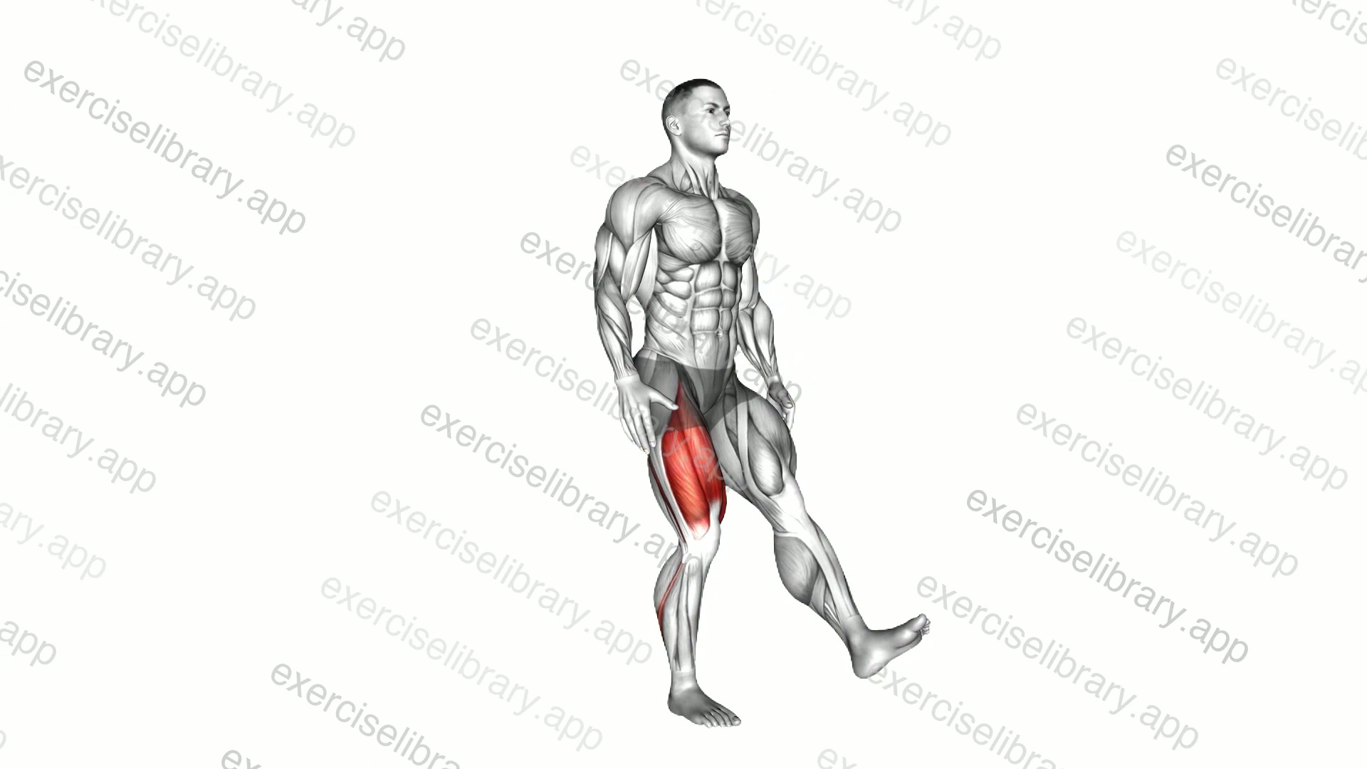 One Leg Quarter Squat demonstration