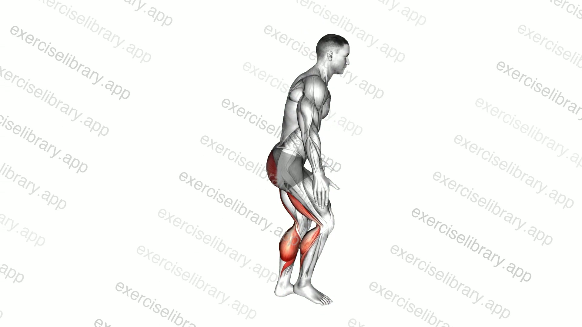 Runners Stretch demonstration