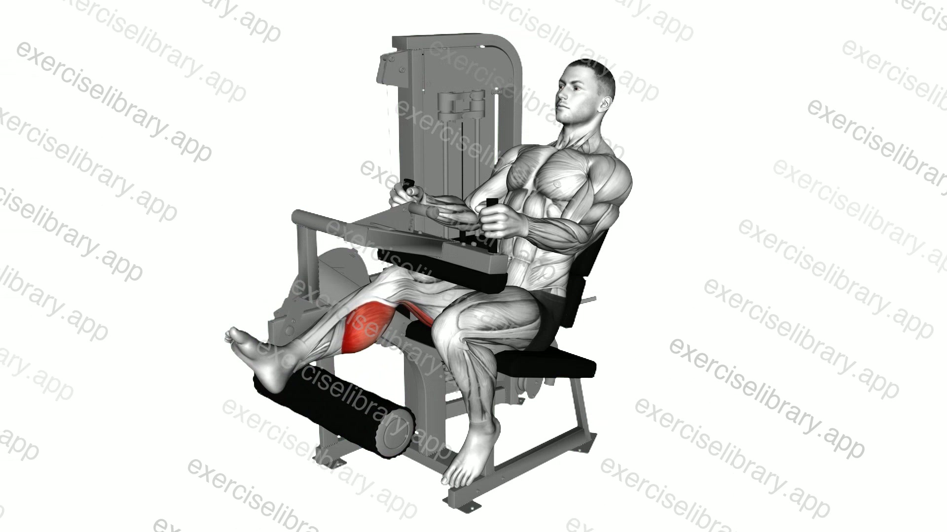 Lever Seated One Leg Curl demonstration