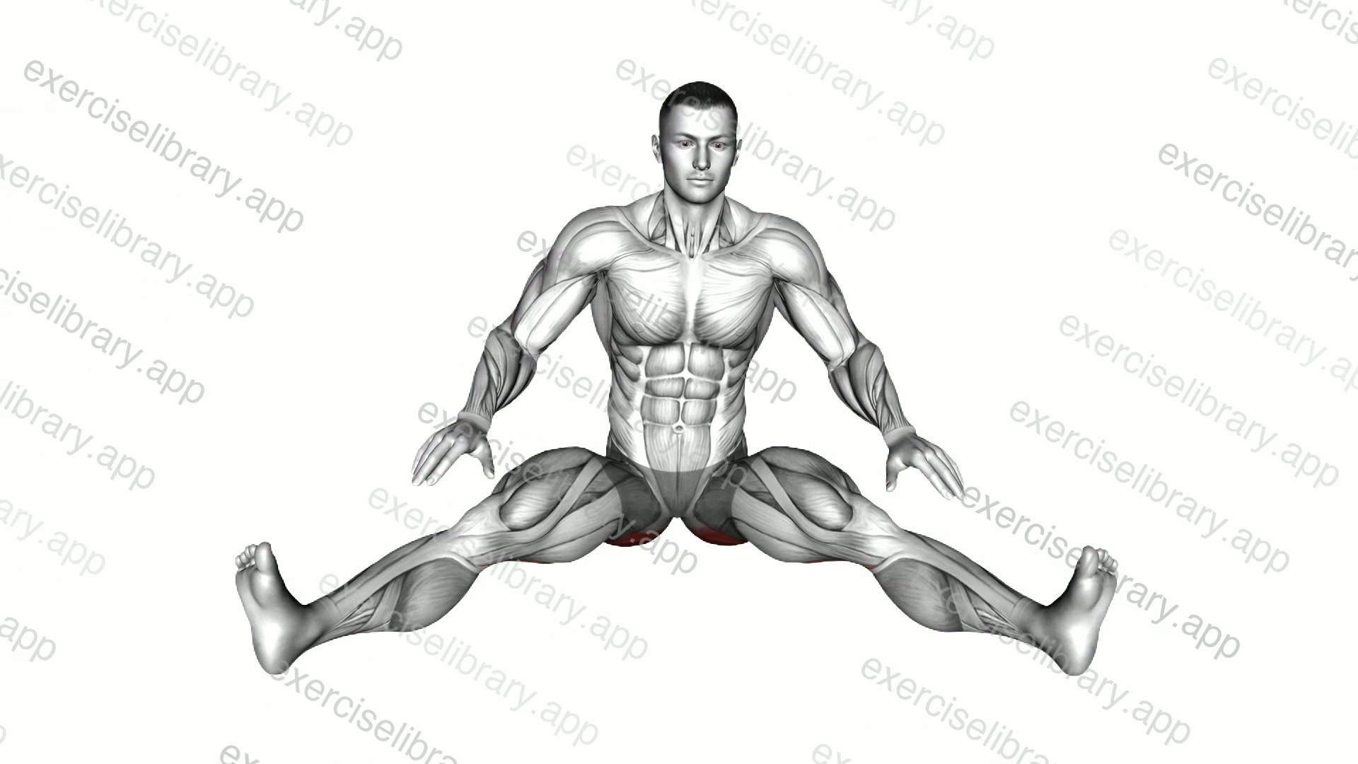 Seated Wide Angle Pose Sequence demonstration