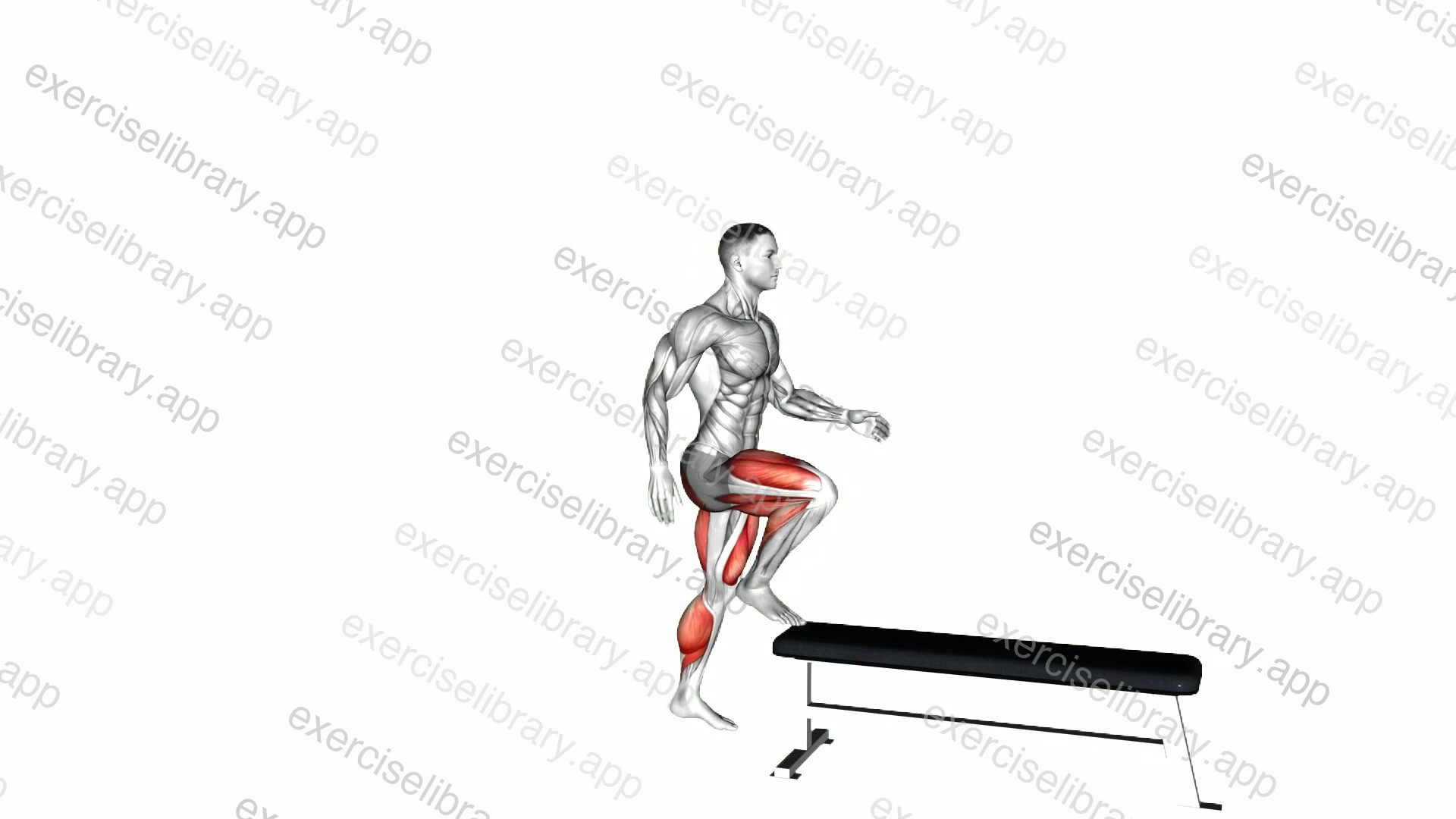 Single Leg Push Off demonstration