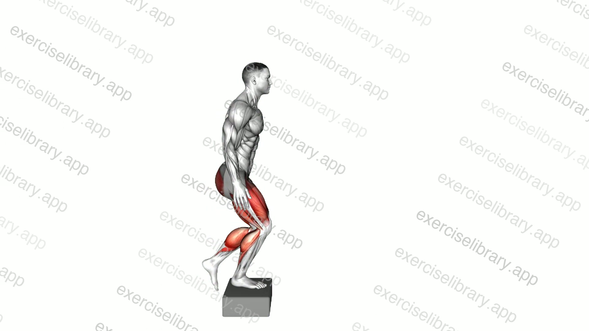 Single Leg Stride Jump demonstration