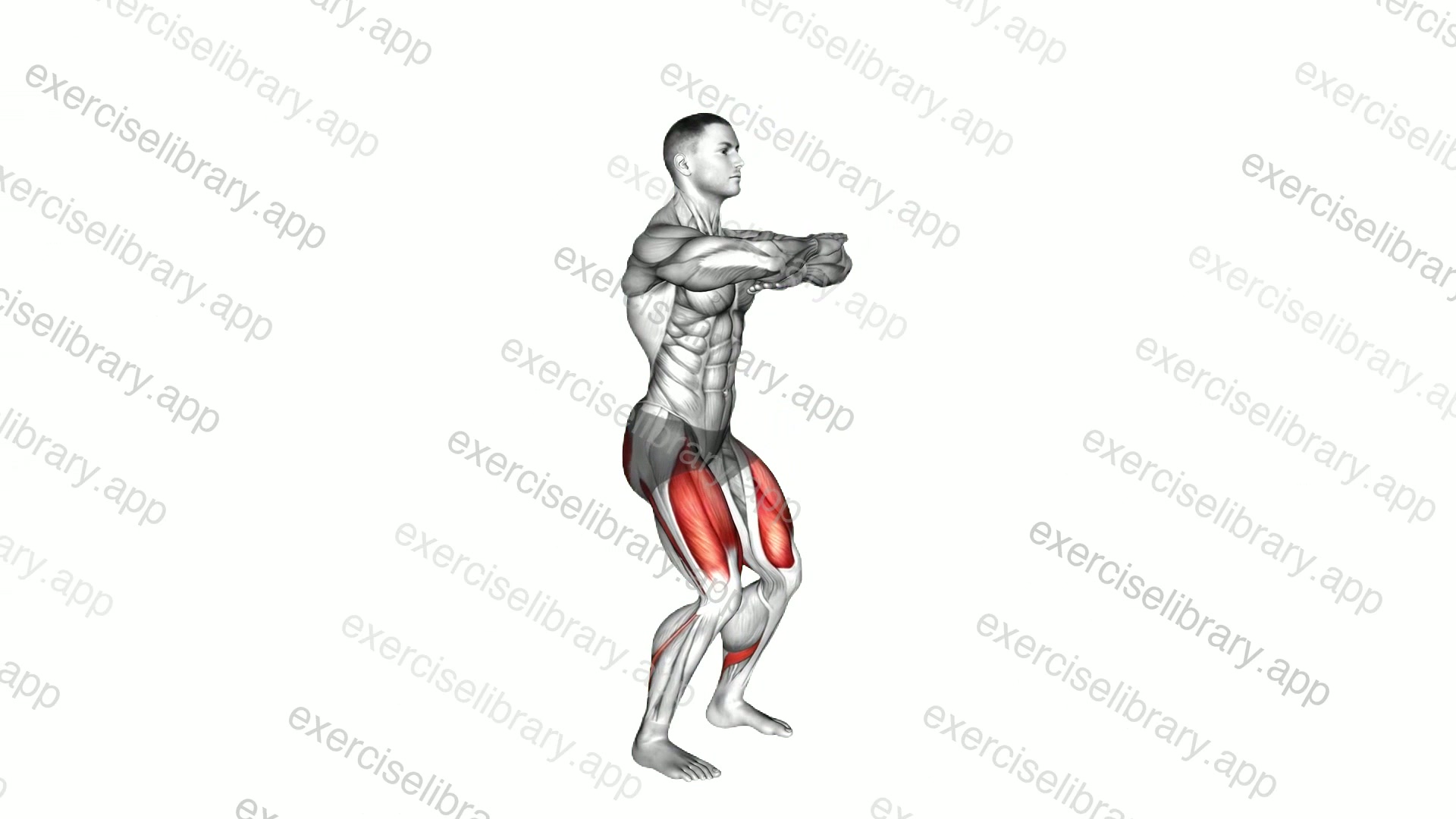 Sit Squat demonstration