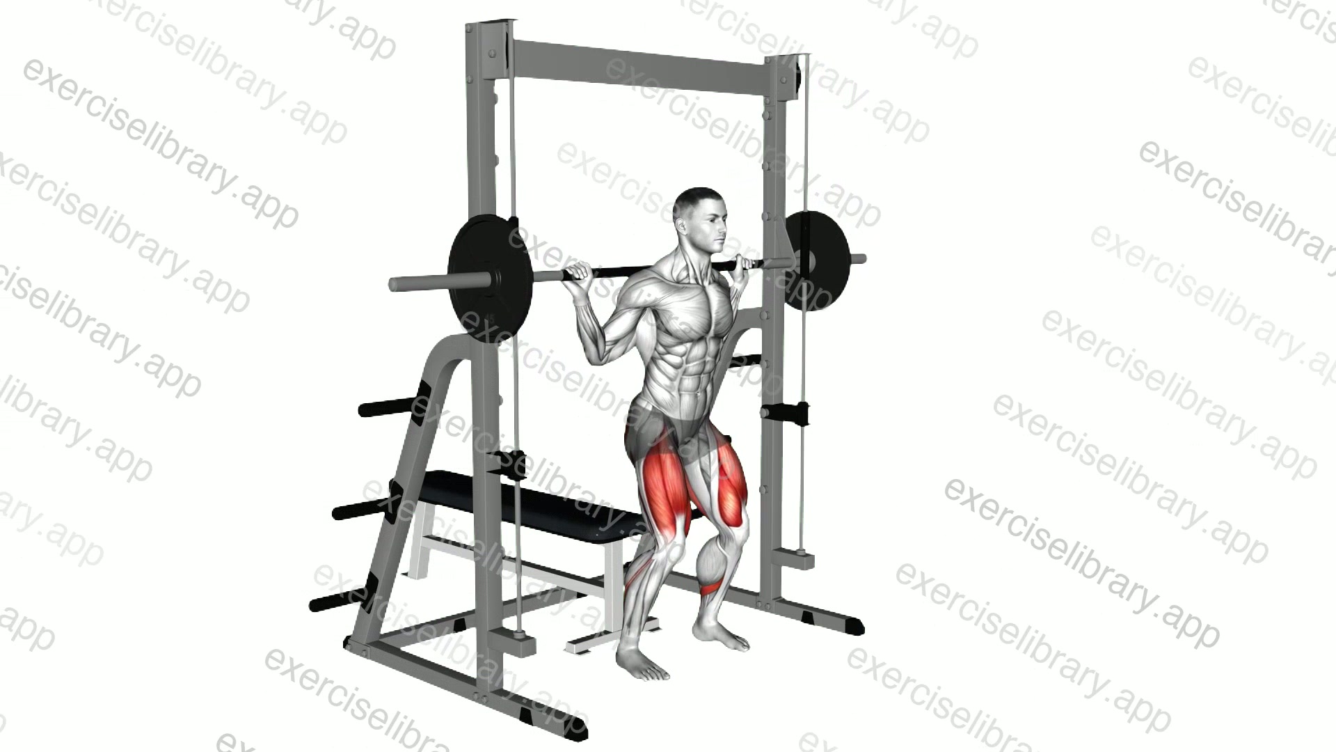 Smith Squat to Bench demonstration