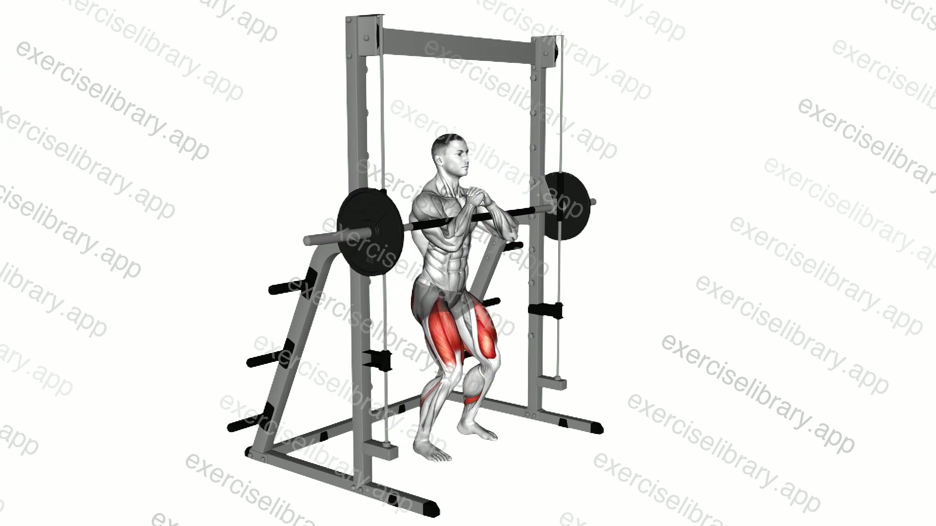 Smith Zercher Squat demonstration