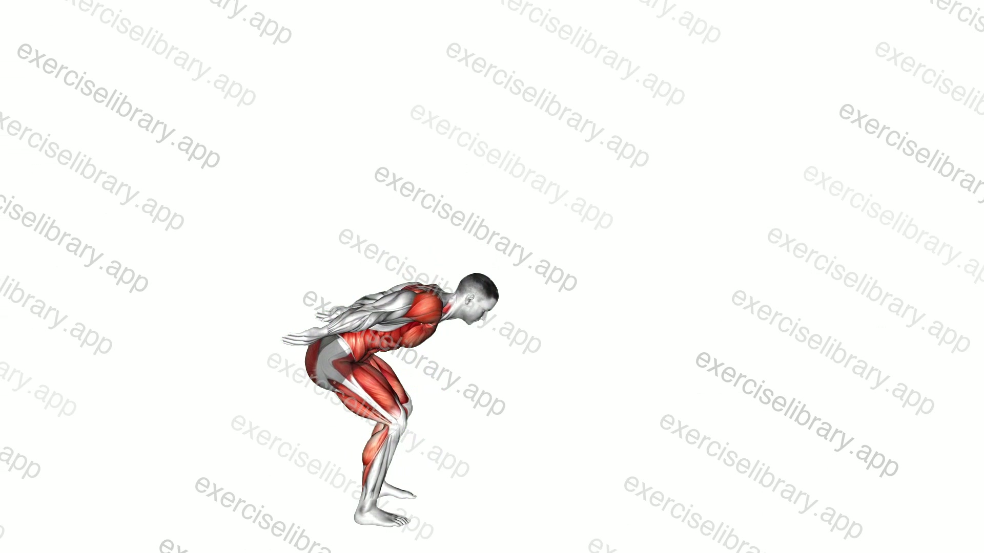 Long Jump demonstration