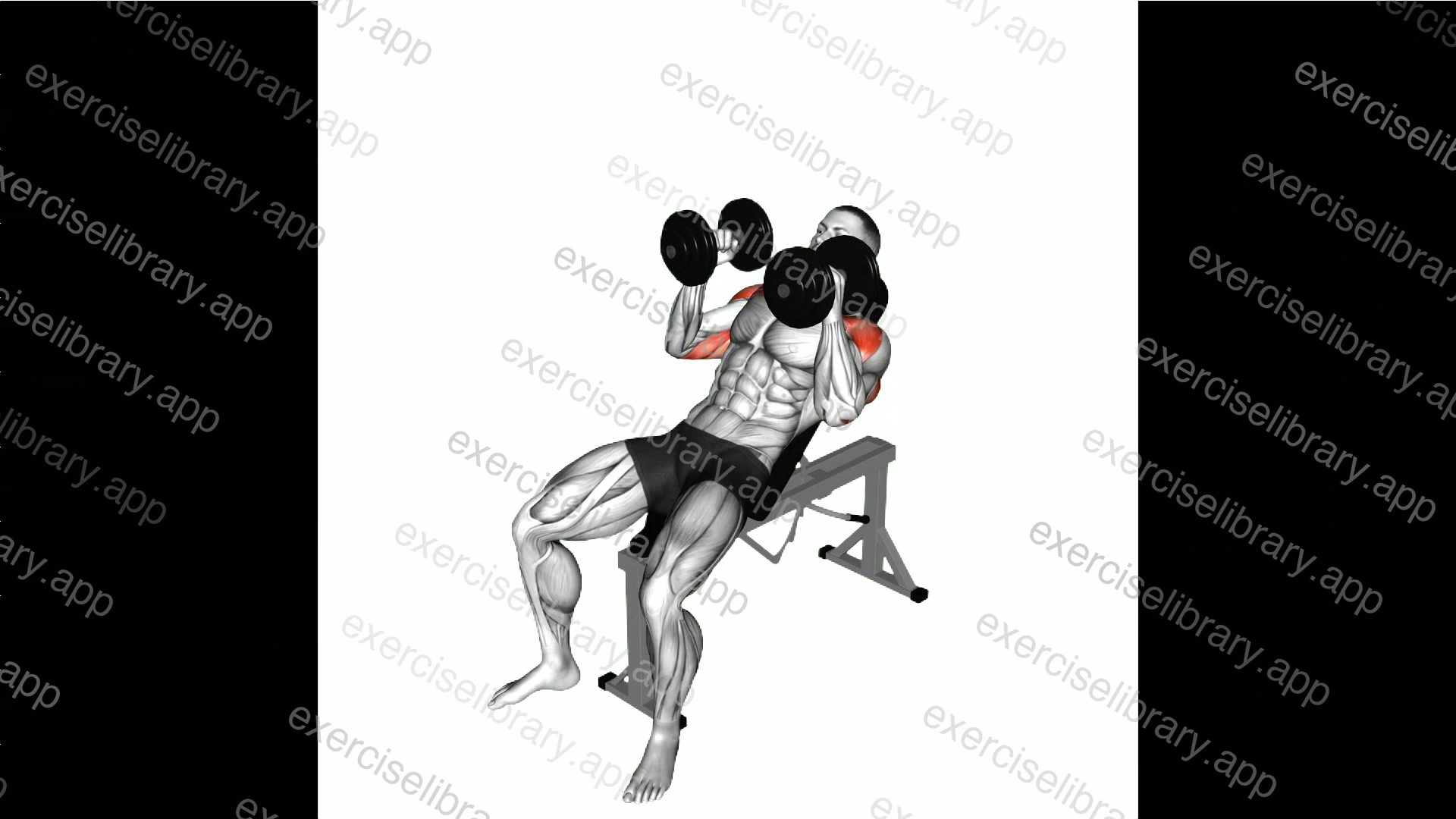 Dumbbell Palms-In Incline Bench Press demonstration