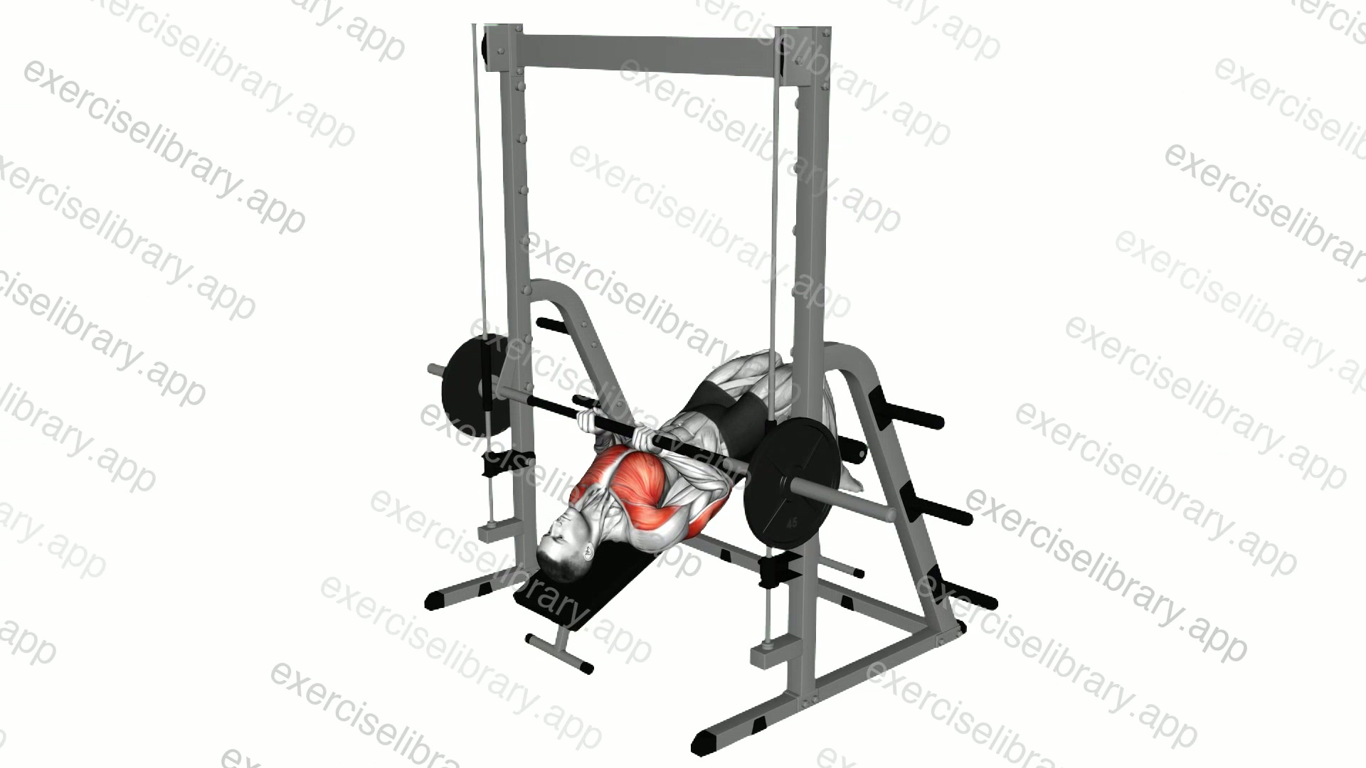 Smith Machine Decline Close Grip Bench Press demonstration