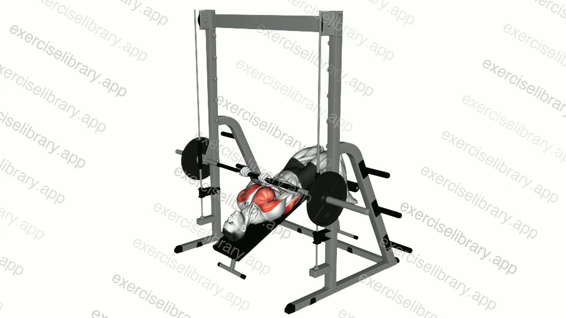 Smith Machine Reverse Decline Close Grip Bench Press demonstration
