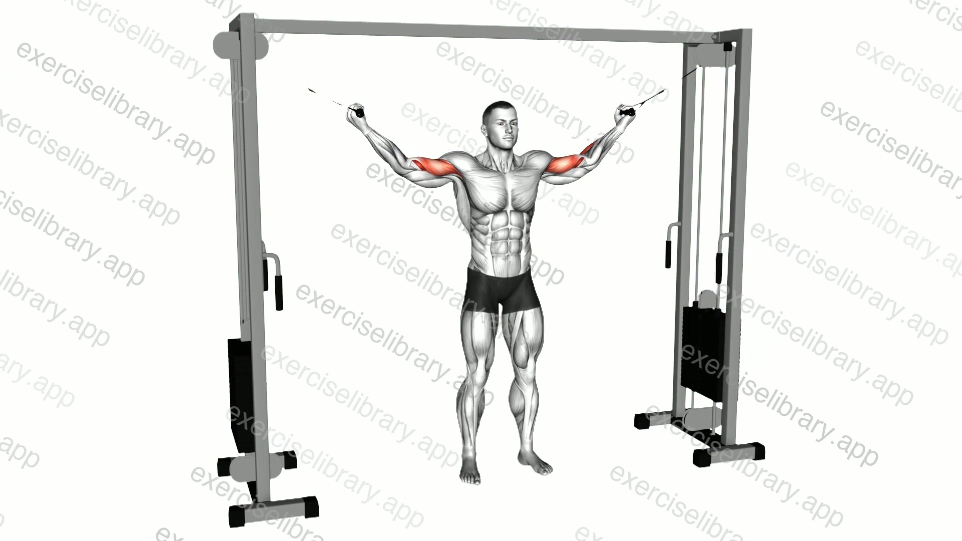 Cable Overhead Curl demonstration