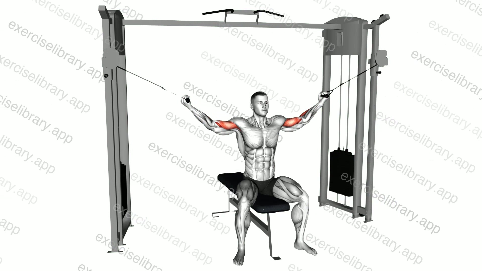 Cable Seated Overhead Curl demonstration