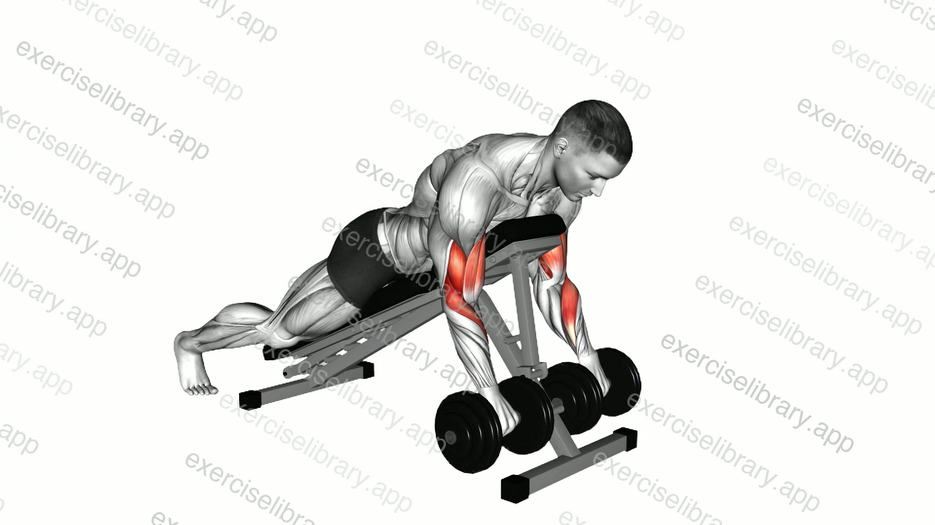 Dumbbell Reverse Spider Curl demonstration