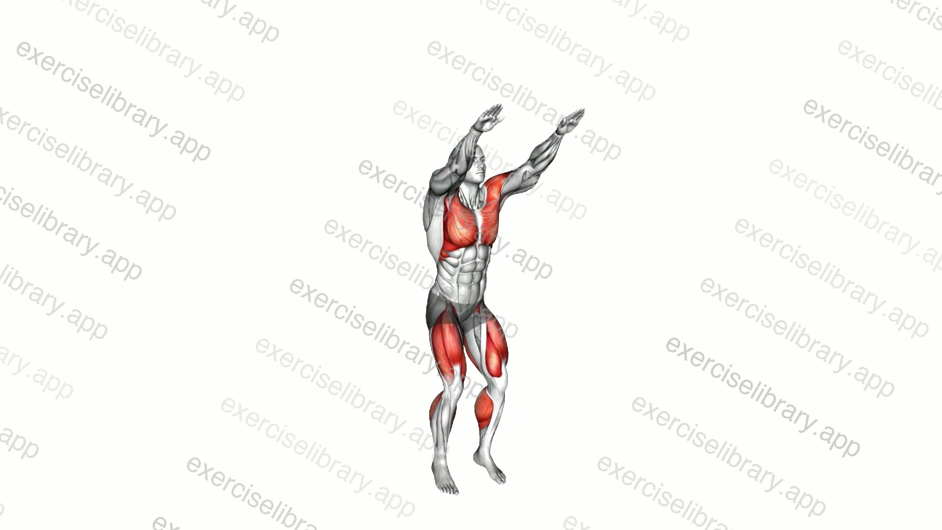 Squat to Overhead Reach demonstration