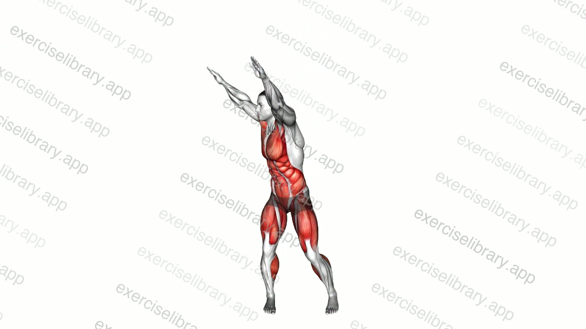 Squat to Overhead Reach with Twist demonstration