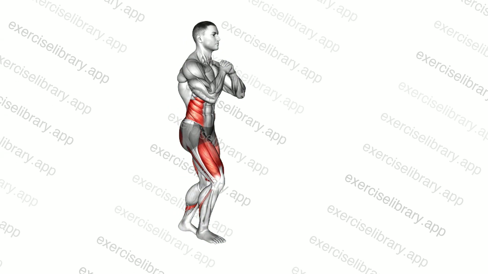 Lunge with Twist demonstration