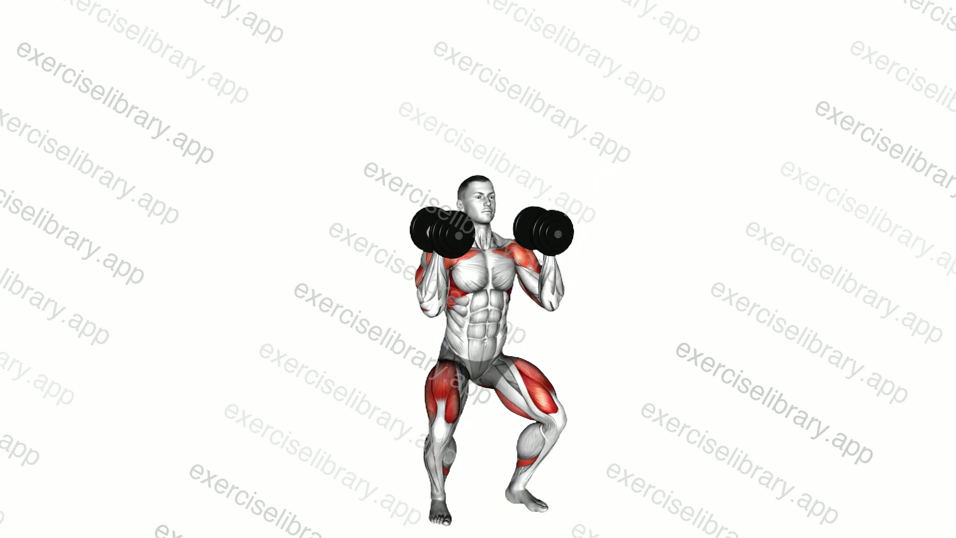 Dumbbell Push Press demonstration