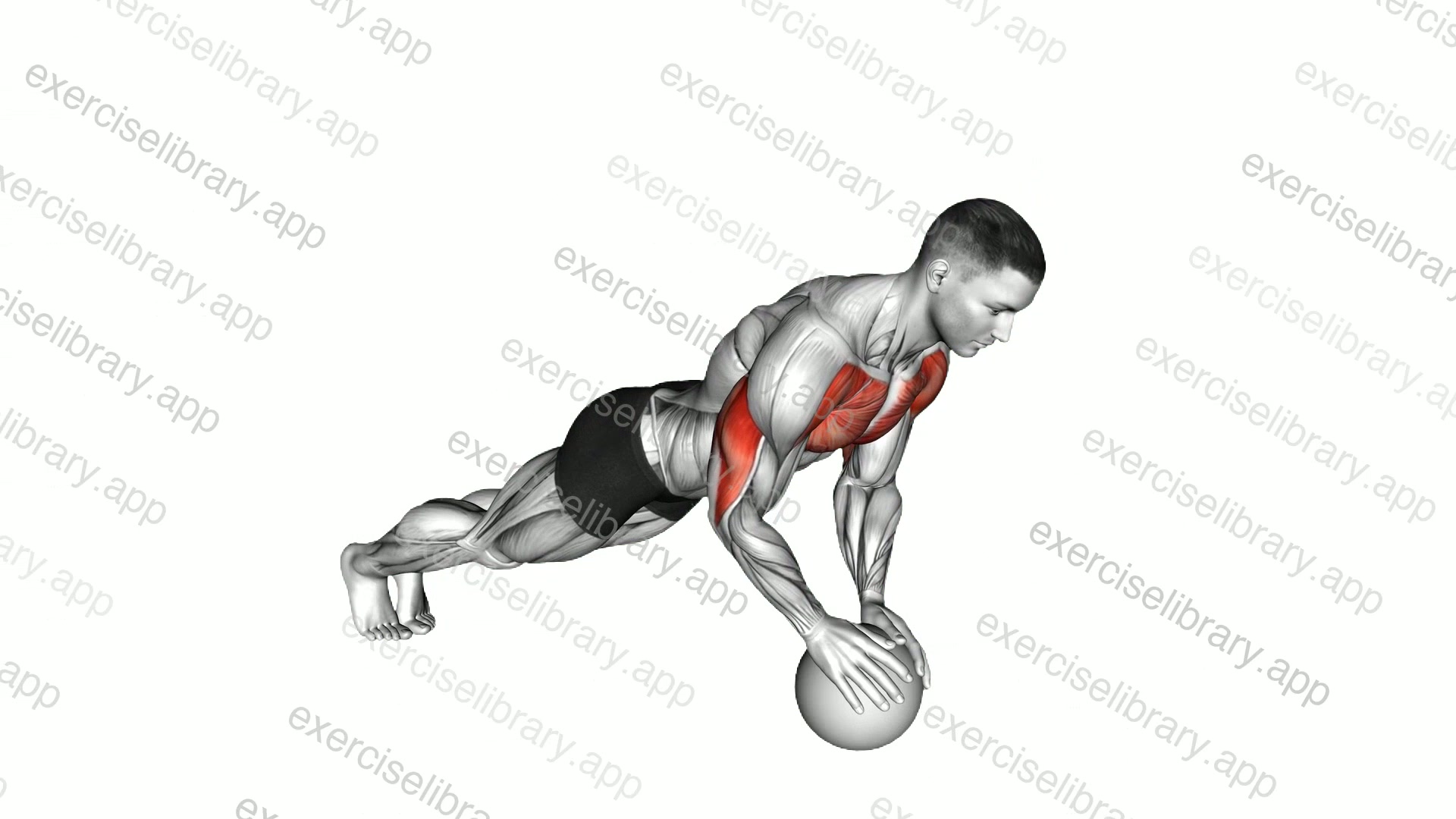 Medicine Ball Close Grip Push-Up demonstration