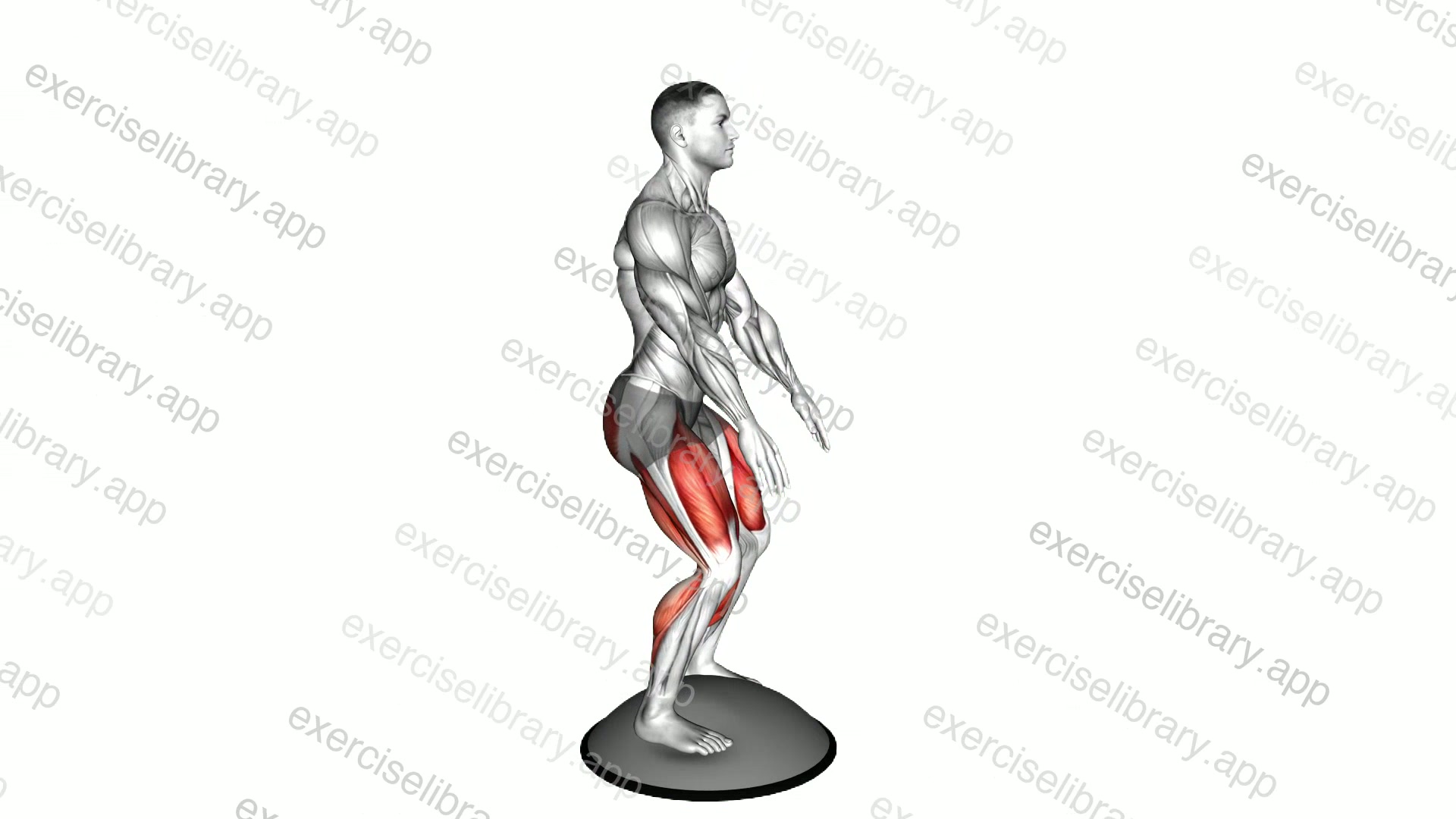 Squat On Bosu Ball demonstration
