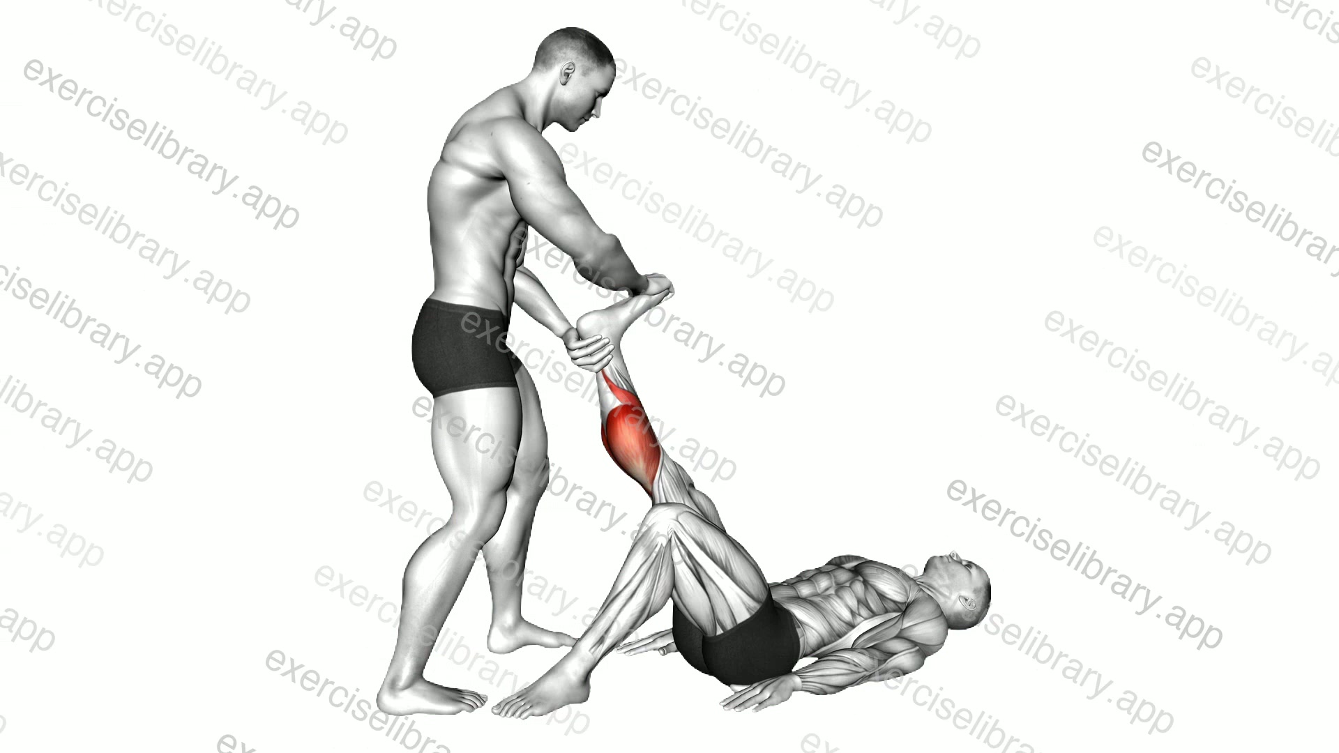 Assisted Lying Gastrocnemius Stretch demonstration