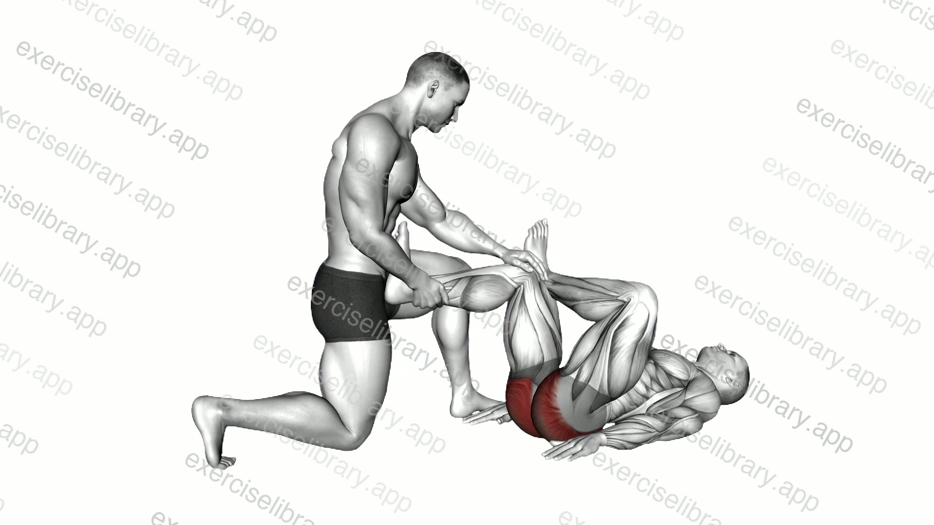 Assisted Lying Gluteus And Piriformis Stretch demonstration