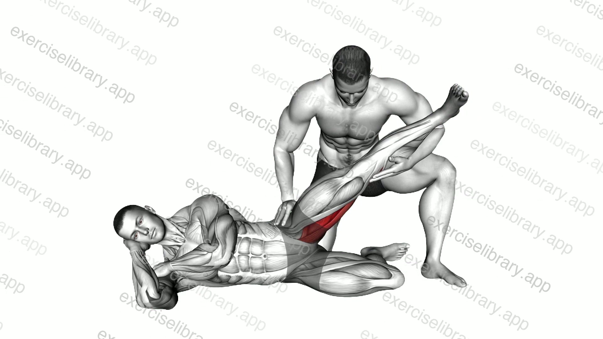 Assisted Side Lying Adductors Stretch demonstration