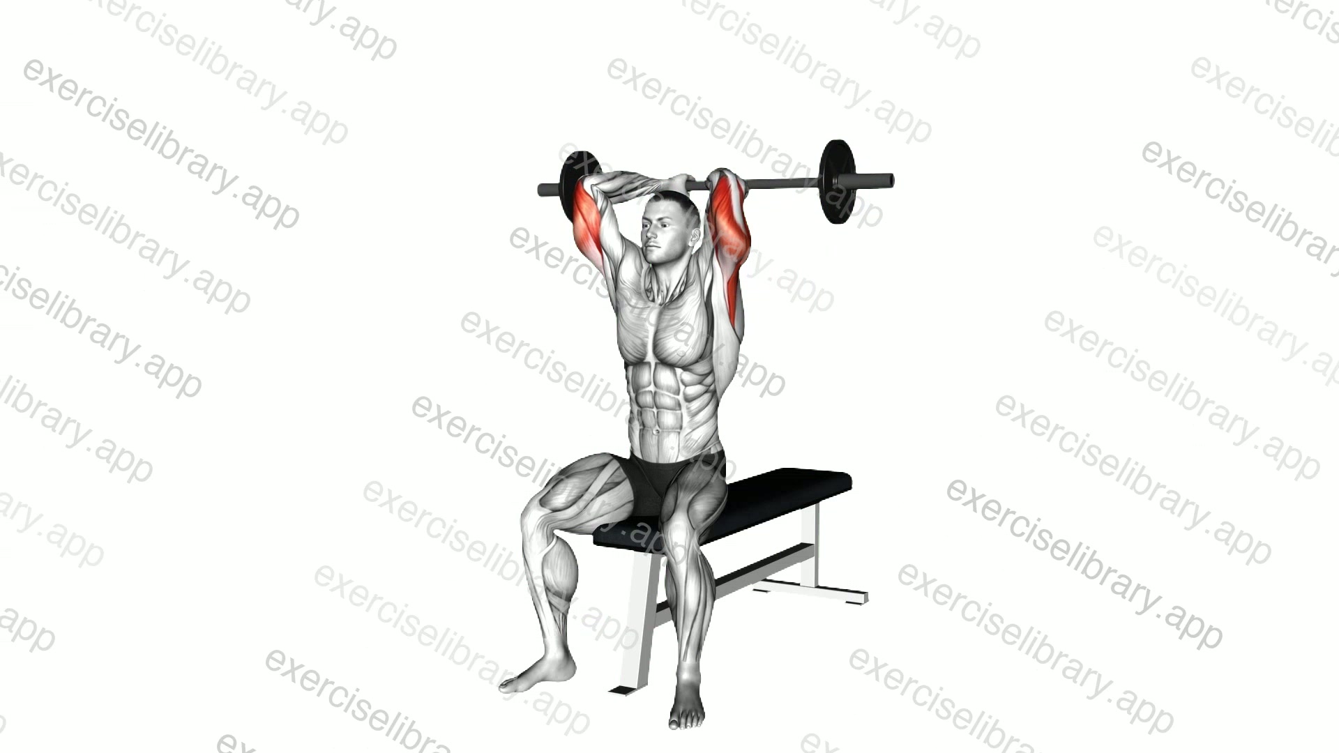 Barbell Seated Close Grip Behind Neck Triceps Extension demonstration