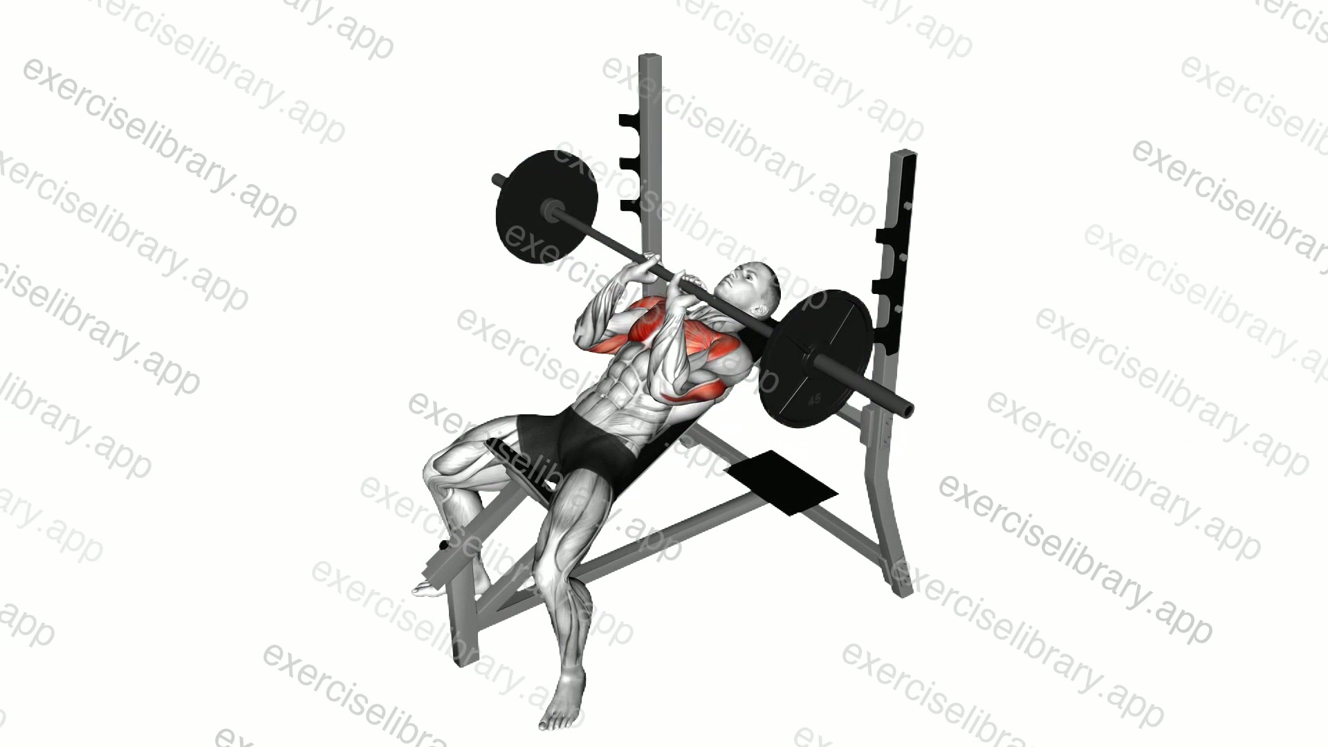 Barbell Incline Close Grip Bench Press demonstration